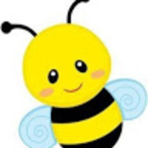 Meet your Posher, Bailey